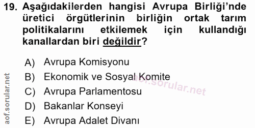 19. soru: Aşağıdakilerden hangisi Avrupa Birliği'nde üretici örgütlerinin birliğin ortak tarim politikalarını etkilemek için ku…