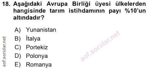 18. soru: Aşağıdaki Avrupa Birliği üyesi ülkelerden hangisinde tarım istihdamının payı %10'un altındadır? A) Yunanistan B) İtal…