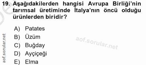 19. soru: Aşağıdakilerden hangisi Avrupa Birliği'nin tarımsal üretiminde Italya'nın öncü olduğu ürünlerden biridir? A) Patates…