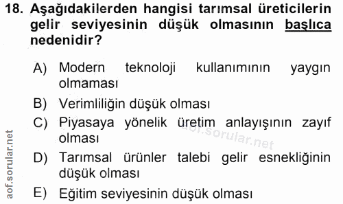 18. soru: Aşağıdakilerden hangisi tarımsal üreticilerin gelir seviyesinin düşük olmasının başlıca nedenidir? A) Modern teknoloj…