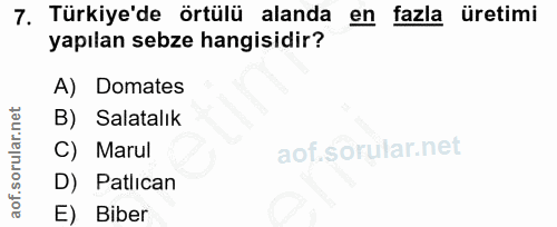 7. soru: Turkiye'de örtülü alanda en fazla üretimi yapılan sebze hangisidir? A) Domates B) Salatalık C) Marul D) Patlican E) B…