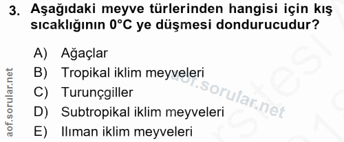 3. soru: Aşağıdaki meyve türlerinden hangisi için kış sıcaklığının 0°C ye düşmesi dondurucudur? A) Ağaçlar B) Tropikal iklim m…