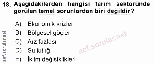 18. soru: Aşağıdakilerden hangisi tarım sektöründe görülen temel sorunlardan biri değildir? A) Ekonomik krizler B) Bölgesel göç…