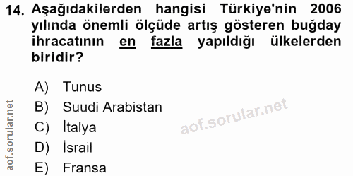 14. soru: Aşağıdakilerden hangisi Türkiye'nin 2006 yılında önemli ölçüde artış gösteren buğday ihracatının en fazla yapıldığı ü…