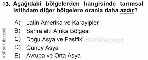 13. soru: Aşağıdaki bölgelerden hangisinde tarımsal istihdam diğer bölgelere oranla daha azdır? A) Latin Amerika ve Karayipler…