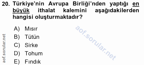 20. soru: Türkiye'nin Avrupa Birliği'nden yaptığı en büyük ithalat kalemini aşağıdakilerden hangisi oluşturmaktadır? A) Mısır B…