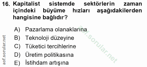 16. soru: Kapitalist sistemde sektörlerin zaman içindeki büyüme hızları aşağıdakilerden hangisine bağlıdır? A) Pazarlama olanak…