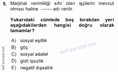 5. soru: Marjinal verimliliği sıfır olan işçilerin mevcut olması haline ---- adı verilir. Yukarıdaki cümlede boş birakılan yer…