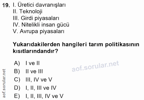 19. soru: I. Üretici davranışları II. Teknoloji III. Girdi piyasaları IV. Nitelikli insan gücü V. Avrupa piyasaları Yukarıdakil…
