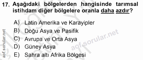 17. soru: Aşağıdaki bölgelerden hangisinde tarımsal istihdam diğer bölgelere oranla daha azdır? A) Latin Amerika ve Karayipler…