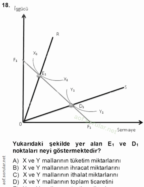 18. soru: isgücü Xa F1 Ya D1 Ya FJ ular. neySermaye Yukarıdaki şekilde yer alan Eı ve Dı noktaları neyi göstermektedir? A) X ve…