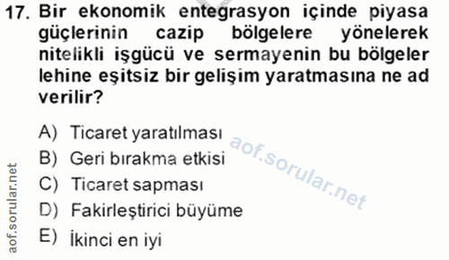 17. soru: Bir ekonomik entegrasyon içinde piyasa güçlerinin cazip bölgelere yönelerek nitelikli işgücü ve sermayenin bu bölgele…