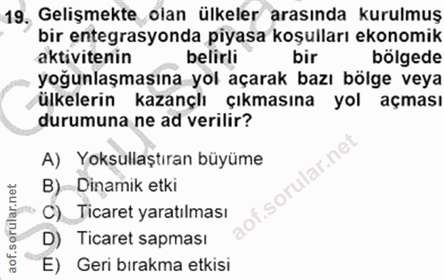 19. soru: Gelişmekte olan ülkeler arasında kurulmuş bir entegrasyonda piyasa koşulları ekonomik aktivitenin belirli bir bölgede…