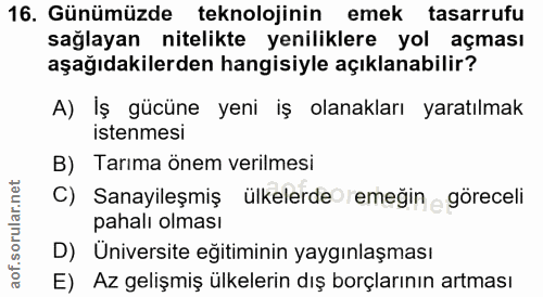 16. soru: Günümüzde teknolojinin emek tasarrufu sağlayan nitelikte yeniliklere yol açması aşağıdakilerden hangisiyle açıklanabi…