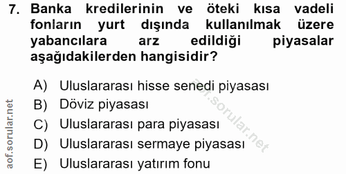 7. soru: Banka kredilerinin ve öteki kısa vadeli fonların yurt dışında kullanılmak üzere yabancılara arz edildiği piyasalar aş…
