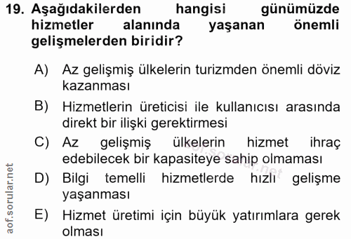 19. soru: Aşağıdakilerden hangisi günümüzde hizmetler alanında yaşanan önemli gelişmelerden biridir? A) Az gelişmiş ülkelerin t…