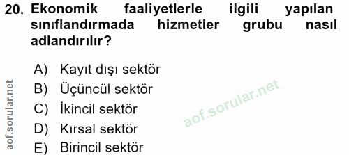 20. soru: Ekonomik faaliyetlerle ilgili yapılan sınıflandırmada hizmetler grubu nasil adlandırılır? A) Kayıt dışı sektör B) Üçü…