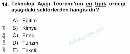 14. soru: Teknoloji Açığı Teoremi'nin en tipik örneği aşağıdaki sektörlerden hangisidir? A) Eğitim B) Kimya C) Enerji D) Turizm…