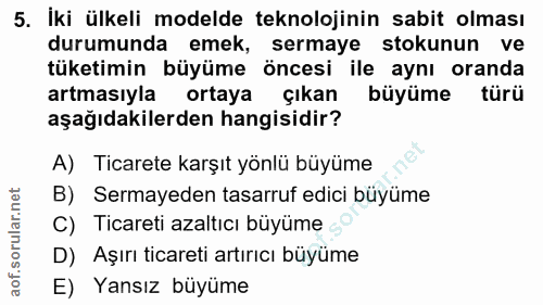 5. soru: İki ülkeli modelde teknolojinin sabit olması durumunda emek, sermaye stokunun ve tüketimin büyüme öncesi ile aynı ora…