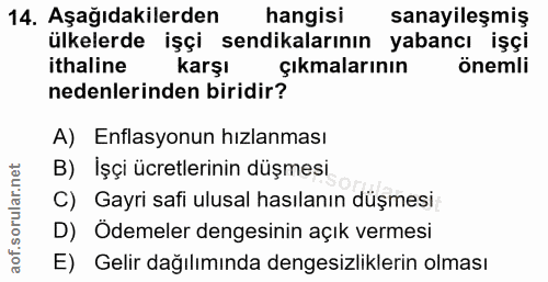 14. soru: Aşağıdakilerden hangisi sanayileşmiş ülkelerde işçi sendikalarının yabancı işçi ithaline karşı çıkmalarının önemli ne…