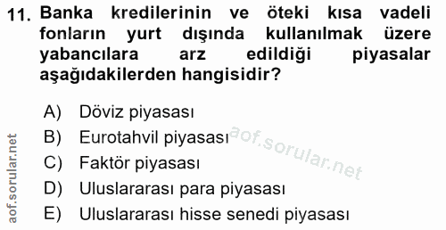 11. soru: Banka kredilerinin ve öteki kısa vadeli fonların yurt dışında kullanılmak üzere yabancılara arz edildiği piyasalar aş…