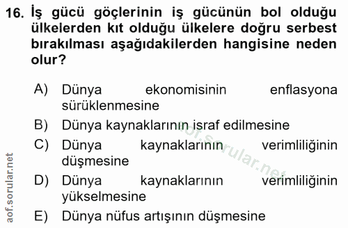 16. soru: İş gücü göçlerinin iş gücünün bol olduğu ülkelerden kıt olduğu ülkelere doğru serbest bırakılması aşağıdakilerden han…