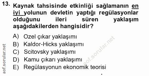 13. soru: Kaynak tahsisinde etkinliği sağlamanın en iyi yolunun devletin yaptığı regülasyonlar olduğunu ileri süren yaklaşım aş…