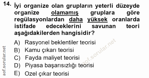 14. soru: İyi organize olan grupların yeterli düzeyde organize olamamış gruplara göre regülasyonlardan daha yüksek oranlarda is…