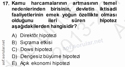 17. soru: Kamu harcamalarının artmasının temel nedenlerinden birisinin, devletin iktisadi faaliyetlerinin emek yoğun özellikte…