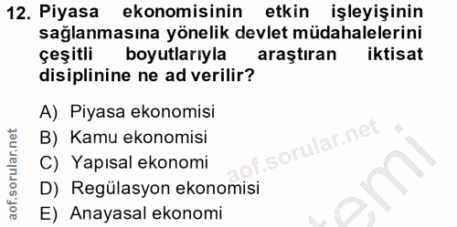 12. soru: Piyasa ekonomisinin etkin işleyişinin sağlanmasına yönelik devlet müdahalelerini çeşitli boyutlarıyla araştiran iktis…