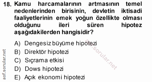 18. soru: Kamu harcamalarının artmasının temel nedenlerinden birisinin, devletin iktisadi faaliyetlerinin emek yoğun özellikte…