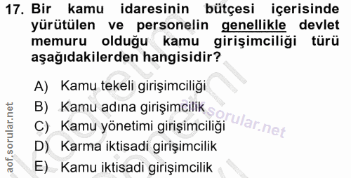 17. soru: Bir kamu idaresinin bütçesi içerisinde yürütülen ve personelin genellikle devlet memuru olduğu kamu girişimciliği tür…