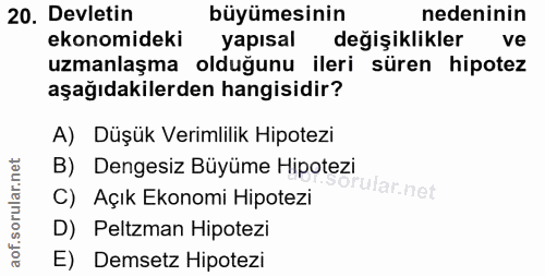 20. soru: Devletin büyümesinin nedeninin ekonomideki yapisal değişiklikler ve uzmanlaşma olduğunu ileri süren hipotez aşağıdaki…