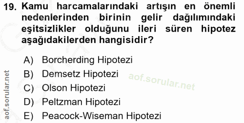 19. soru: Kamu harcamalarındaki artışın en önemli nedenlerinden birinin gelir dağılımındaki eşitsizlikler olduğunu ileri süren…