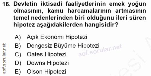 16. soru: Devletin iktisadi faaliyetlerinin emek yoğun olmasının, kamu harcamalarının artmasının temel nedenlerinden biri olduğ…