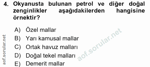 4. soru: Okyanusta bulunan petrol ve diğer doğal zenginlikler aşağıdakilerden hangisine örnektir? A) Özel mallar B) Yarı kamus…