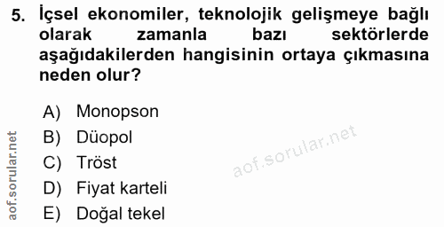 5. soru: İçsel ekonomiler, teknolojik gelişmeye bağlı olarak zamanla bazı sektörlerde aşağıdakilerden hangisinin ortaya çıkmas…
