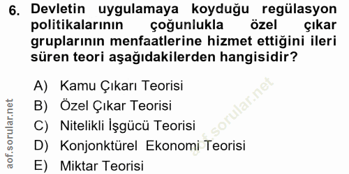 6. soru: Devletin uygulamaya koyduğu regülasyon politikalarının çoğunlukla özel çıkar gruplarının menfaatlerine hizmet ettiğin…