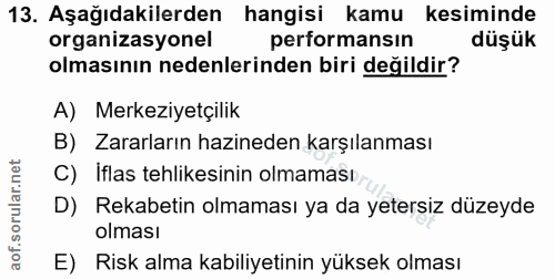 13. soru: Aşağıdakilerden hangisi kamu kesiminde organizasyonel performansın düşük olmasının nedenlerinden biri değildir? A) Me…