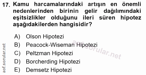 17. soru: Kamu harcamalarındaki artışın en önemli nedenlerinden birinin gelir dağılımındaki eşitsizlikler olduğunu ileri süren…