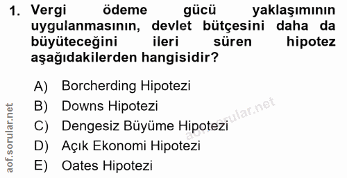 1. soru: Vergi ödeme gücü yaklaşımının uygulanmasının, devlet bütçesini daha da büyüteceğini ileri süren hipotez aşağıdakilerd…