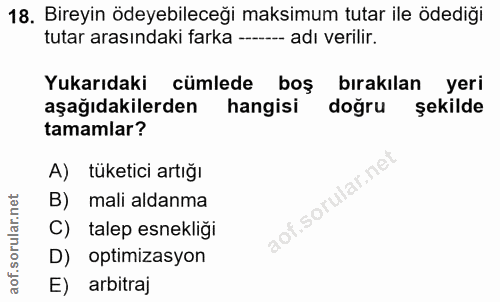 18. soru: Bireyin ödeyebileceği maksimum tutar ile ödediği tutar arasındaki farka ---- adı verilir. Yukarıdaki cümlede boş bıra…