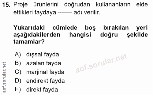 15. soru: Proje ürünlerini doğrudan kullananların elde ettikleri faydaya -- adı verilir. Yukarıdaki cümlede boş bırakılan yeri…