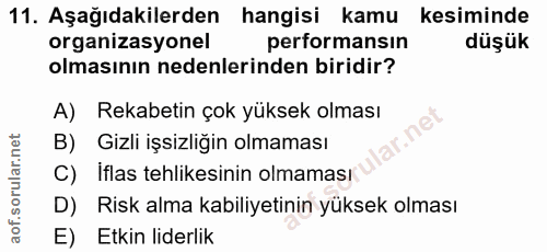 11. soru: Aşağıdakilerden hangisi kamu kesiminde organizasyonel performansın düşük olmasının nedenlerinden biridir? A) Rekabeti…