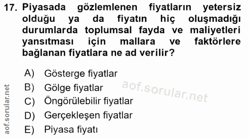 17. soru: Piyasada gözlemlenen fiyatların yetersiz olduğu ya da fiyatın hiç oluşmadığı durumlarda toplumsal fayda ve maliyetler…