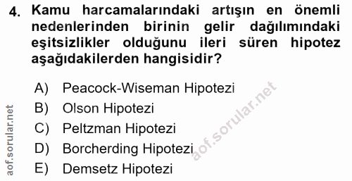 4. soru: Kamu harcamalarındaki artışın en önemli nedenlerinden birinin gelir dağılımındaki eşitsizlikler olduğunu ileri süren…