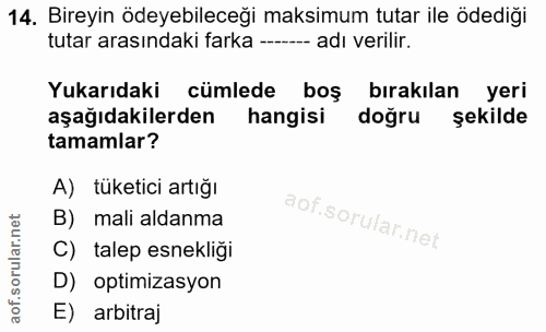 14. soru: Bireyin ödeyebileceği maksimum tutar ile ödediği tutar arasındaki farka ---- adı verilir. Yukarıdaki cümlede boş bıra…
