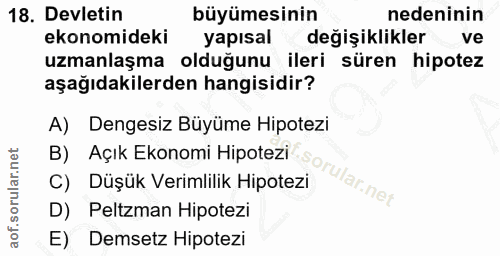 18. soru: Devletin büyümesinin nedeninin ekonomideki yapısal değişiklikler ve uzmanlaşma olduğunu ileri süren hipotez aşağıdaki…