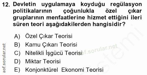 12. soru: Devletin uygulamaya koyduğu regülasyon politikalarının çoğunlukla özel Çıkar gruplarının menfaatlerine hizmet ettiğin…