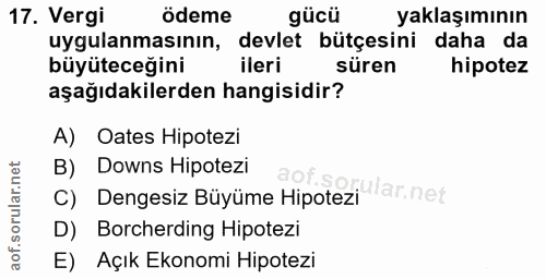 17. soru: Vergi ödeme yaklaşımının uygulanmasının, devlet bütçesini daha da büyüteceğini ileri süren hipotez aşağıdakilerden ha…